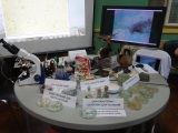 Exposition of Projects of Students’ Science