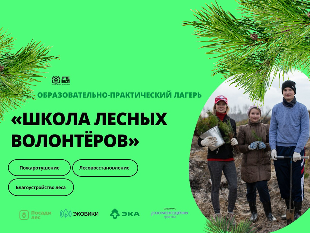 Школа лесных волонтёров в Ульяновской области