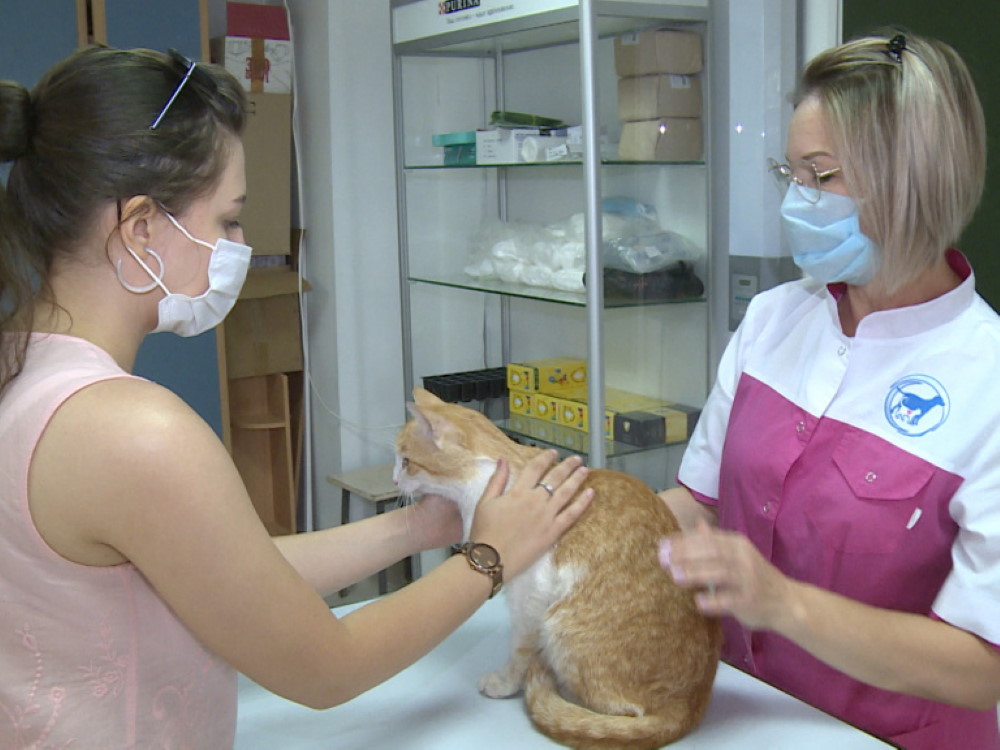 Центр ветеринарной медицины «Унивет» АГУ принимает своих первых пациентов