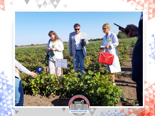 Аграрии АГУ пообщались с коллегами в рамках Всероссийского дня поля