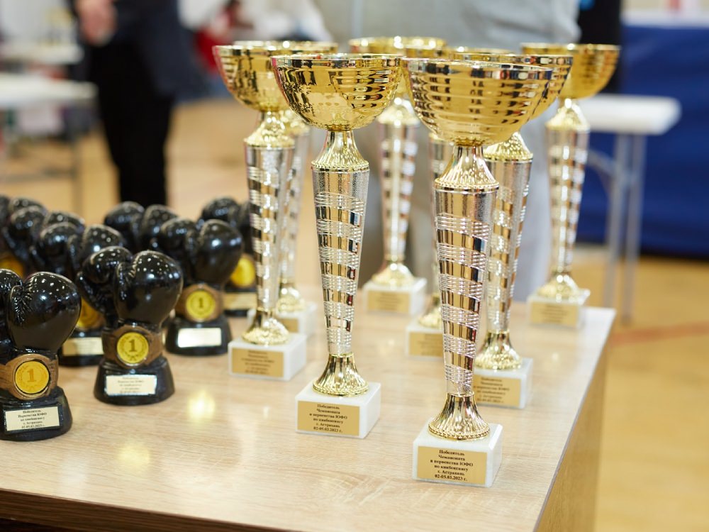 Студенты АГУ завоевали золотые медали на чемпионате и первенстве ЮФО по кикбоксингу